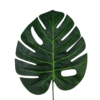 Verde oscuro (2)