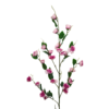 07522 - Vara de rosas (4)
