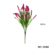 Fucsia