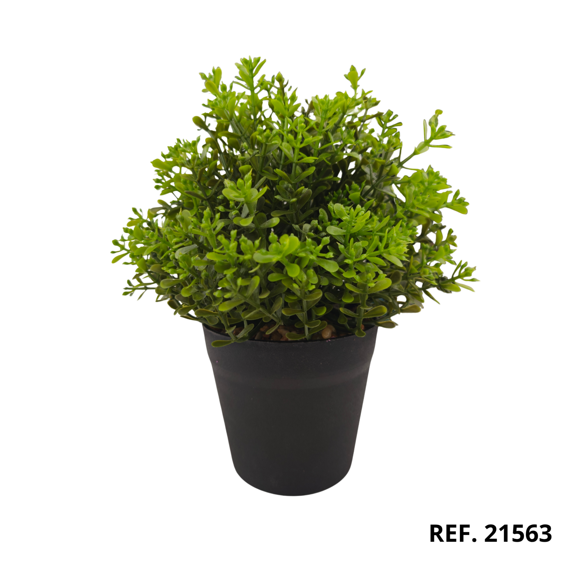 21563 - Maceta con bonsai (2)