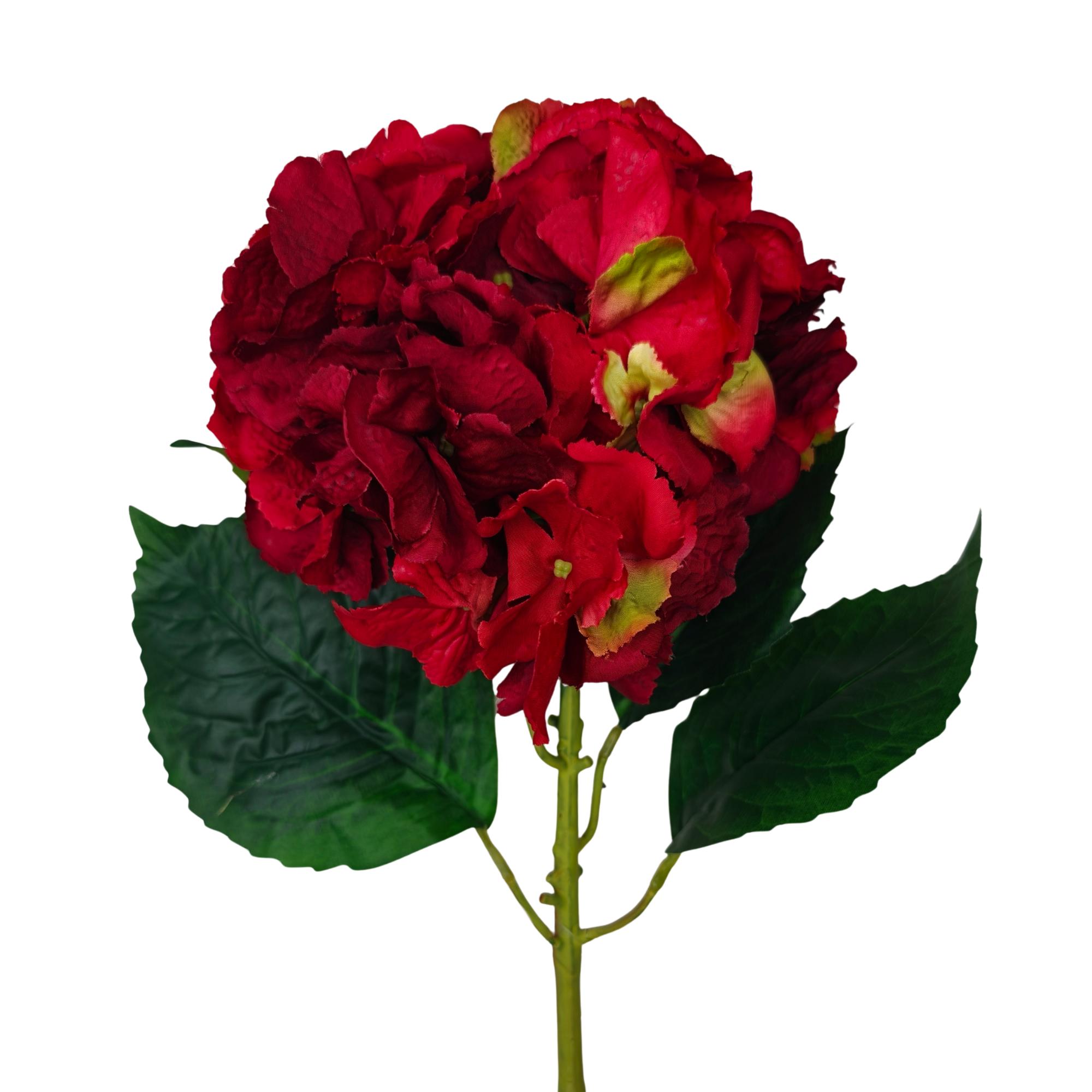 Rojo (2)