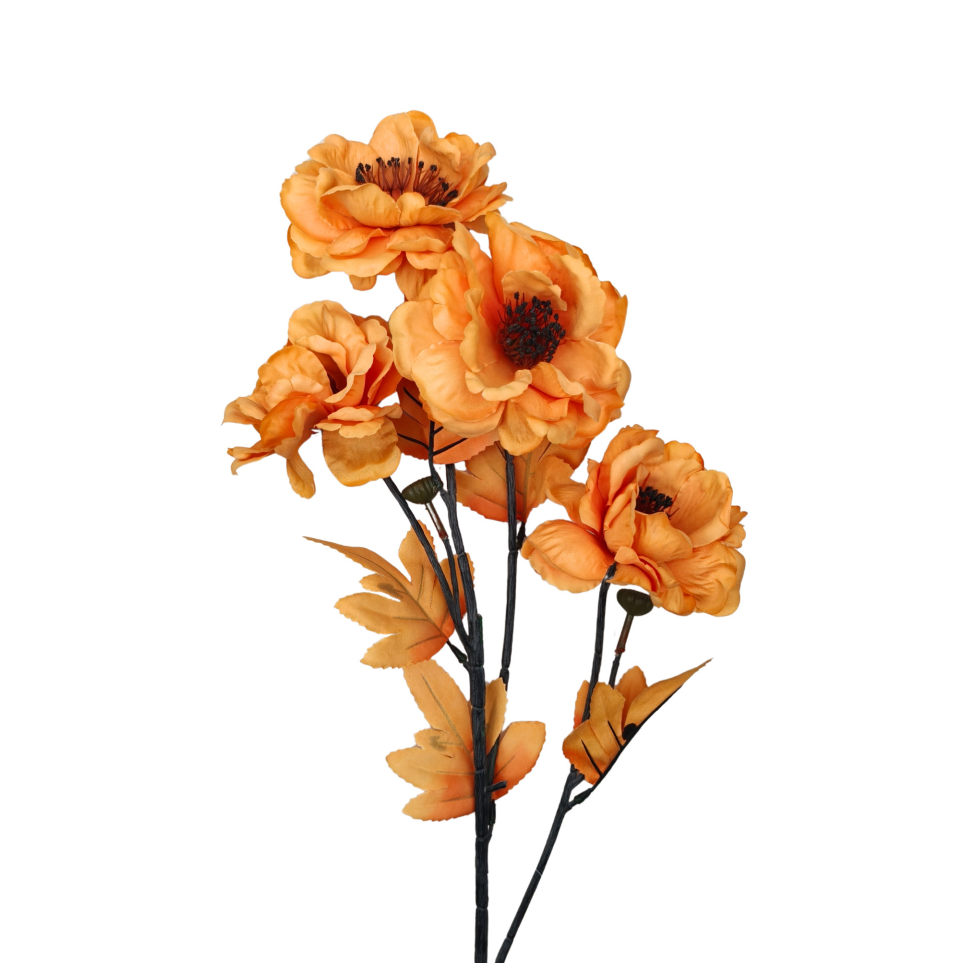 21024 - Naranja (2)