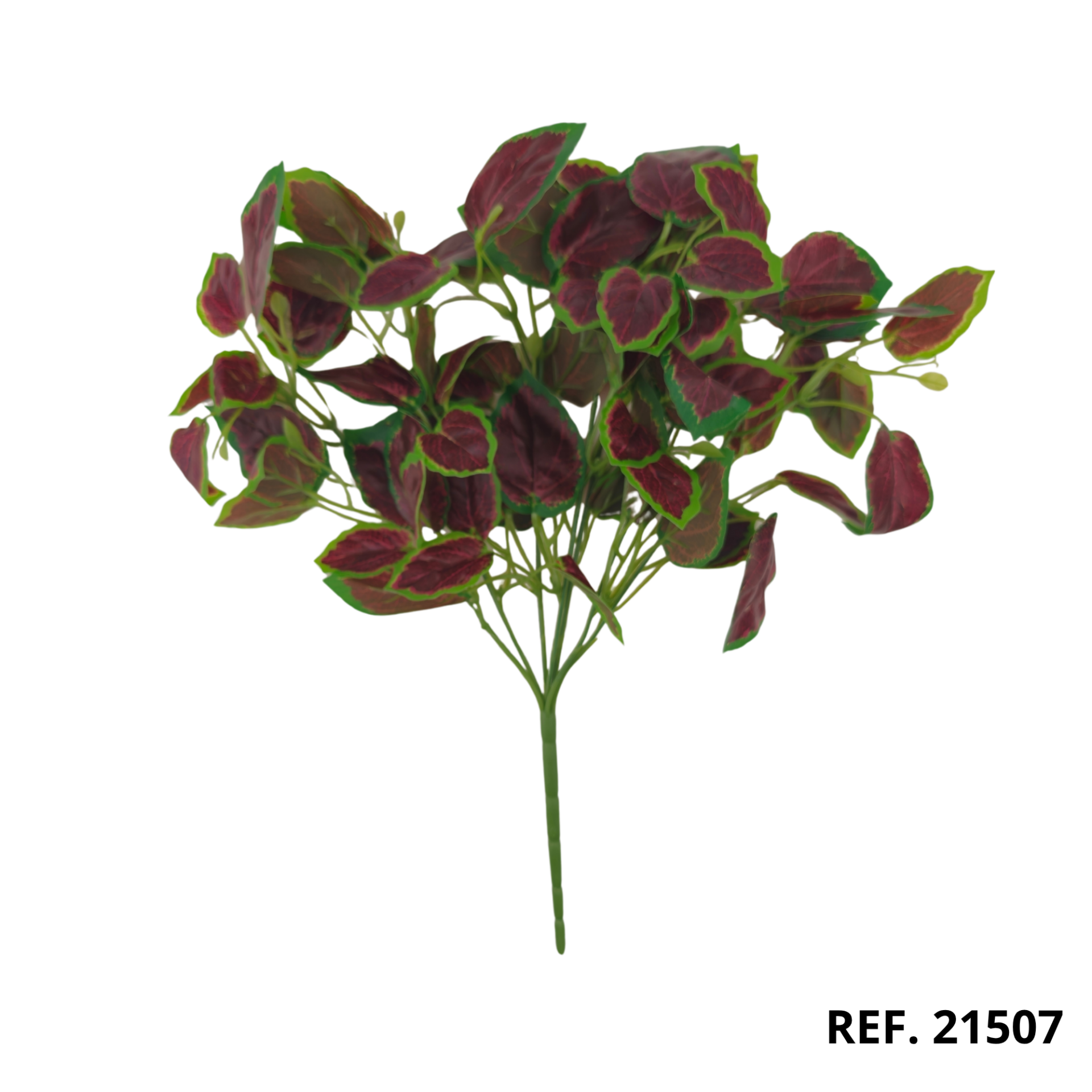 21507A - Ramo de hojas de poto (3)