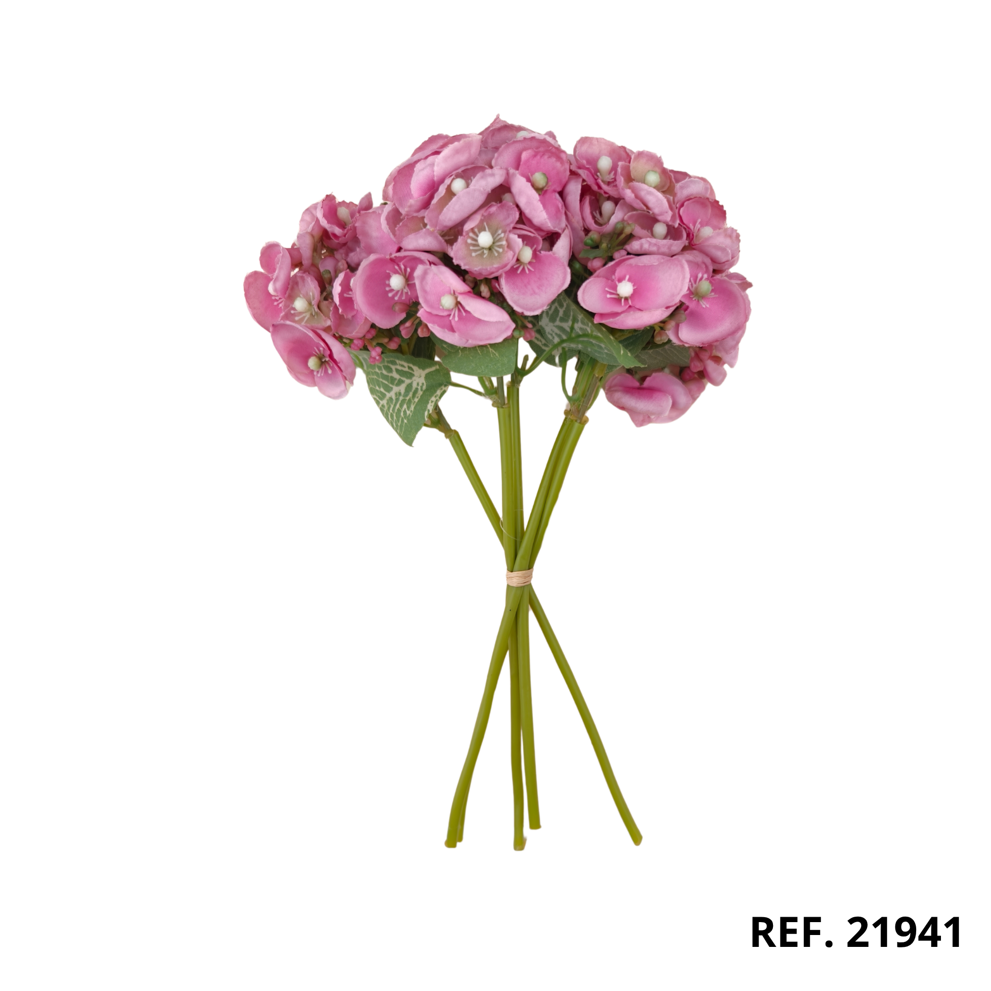 Rosa