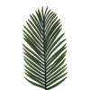 Verde (2)