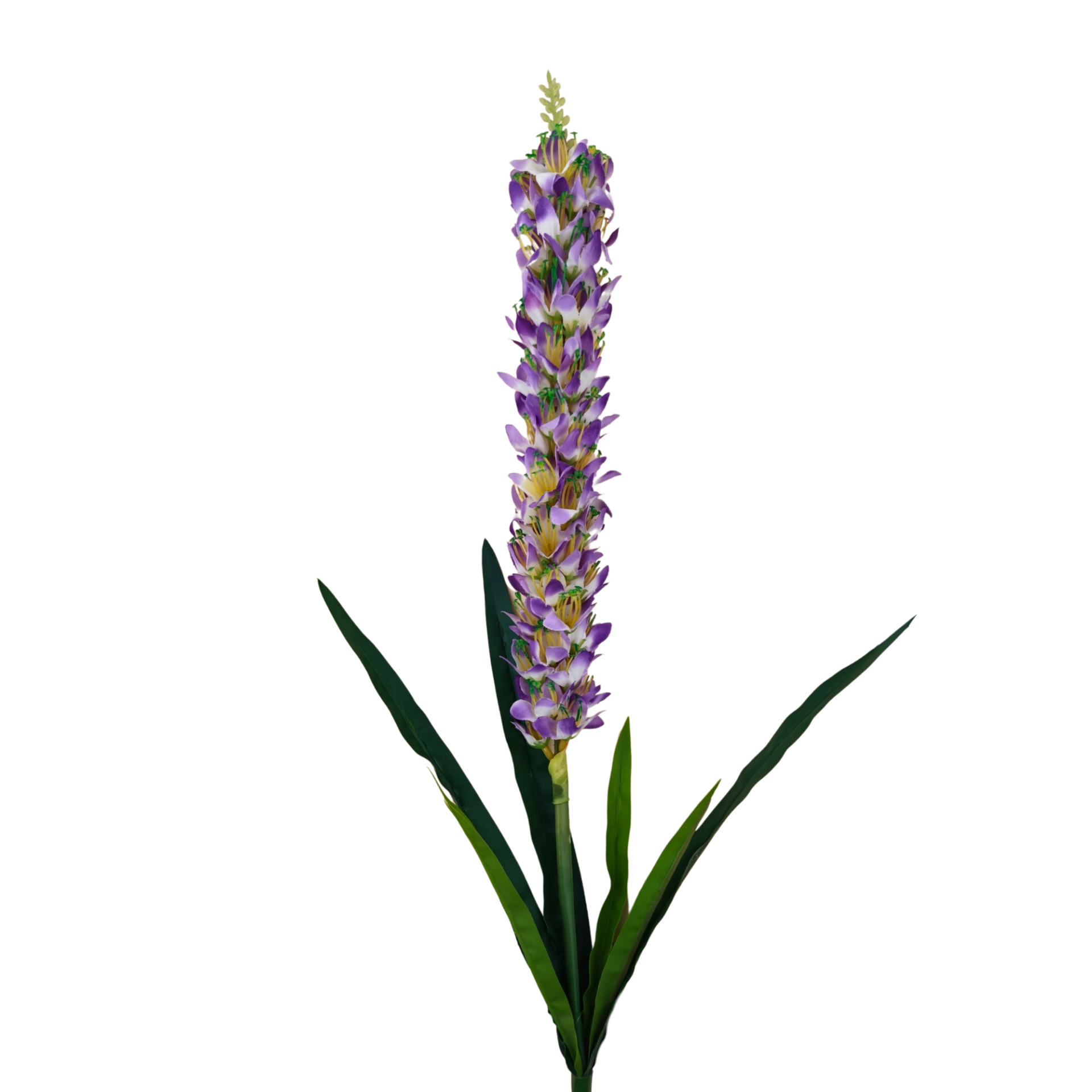 21294 - Vara de liatris (4)