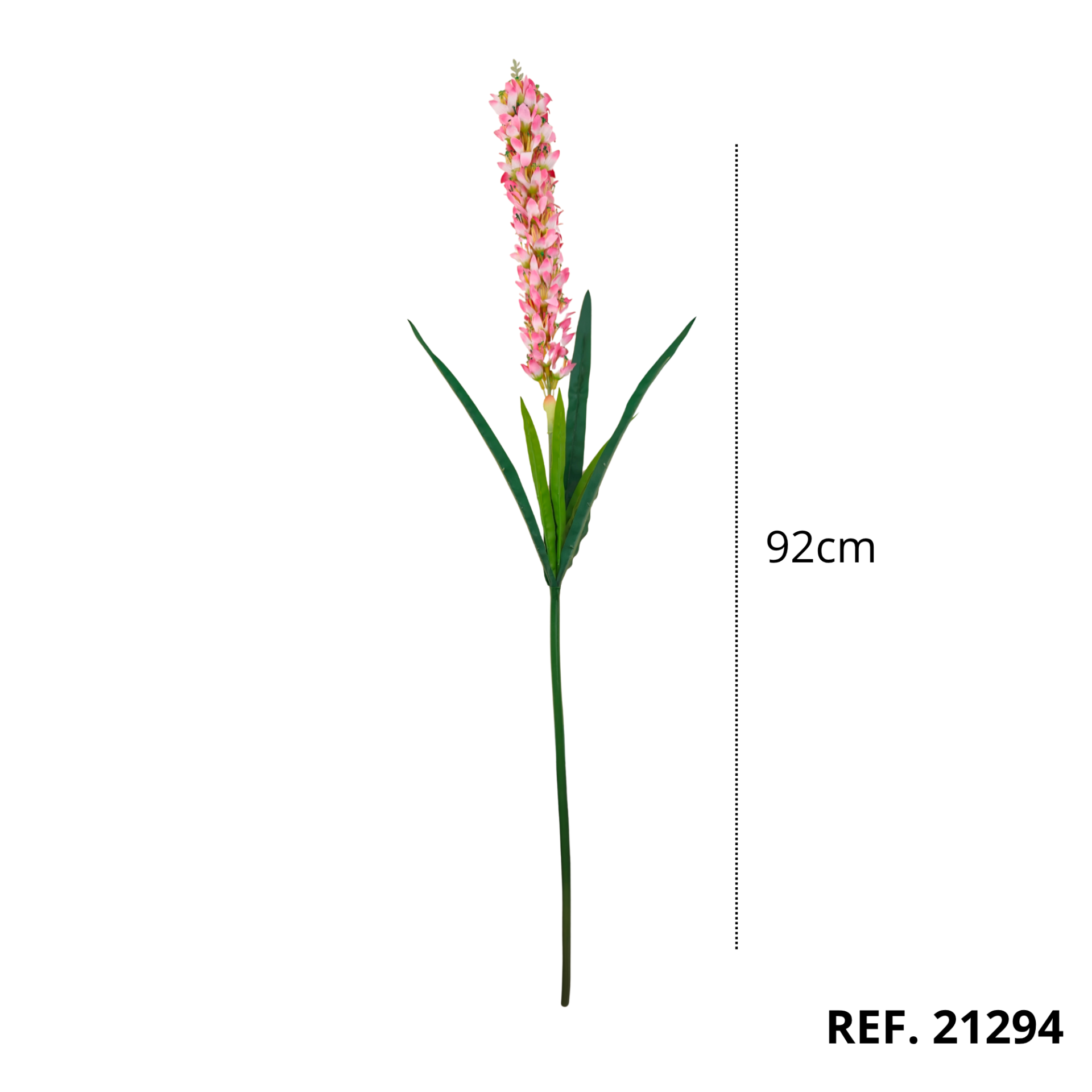 21294 - Vara de liatris